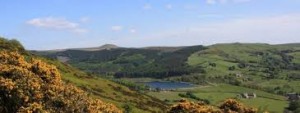 macclesfield forest