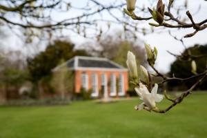 Spring stirs in the garden at Dunham Massey c National Trust & David Jones