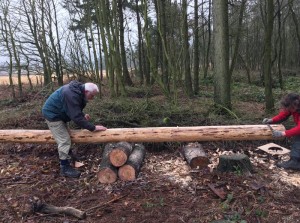 New Stanage Pole