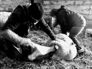 Kate Bellis's photographs show aspects of daily life in the Derbyshire hills.