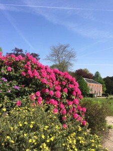 Enjoy stunning summer colour in the evening sun at Beyond the Garden Gate © National Trust Images/Alice Rushworth