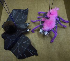 jumping-spiders-and-flying-bats